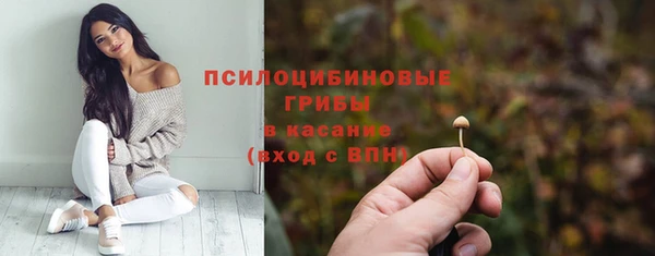 Альфа ПВП Алзамай
