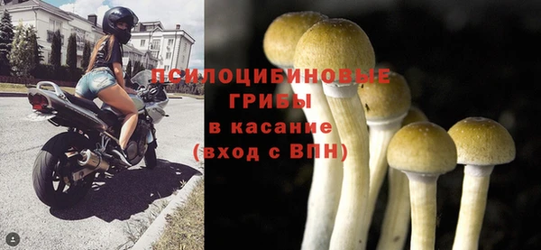 крисы Алексеевка
