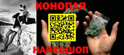стаф Краснодар